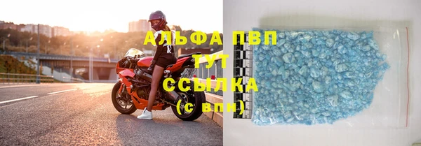 стаф Магас