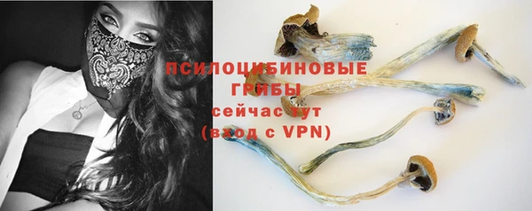 стаф Магас