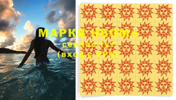 стаф Магас