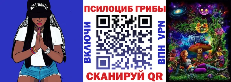 Псилоцибиновые грибы Psilocybe  Узловая 
