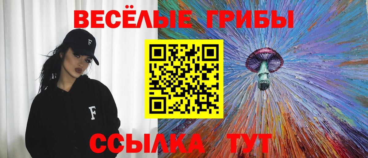 Галлюциногенные грибы GOLDEN TEACHER  Вход с VPN  Узловая  Галлюциногенные грибы Magic Shrooms 