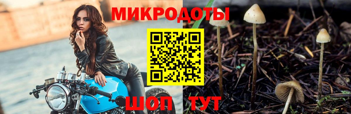 Галлюциногенные грибы ЛСД Узловая